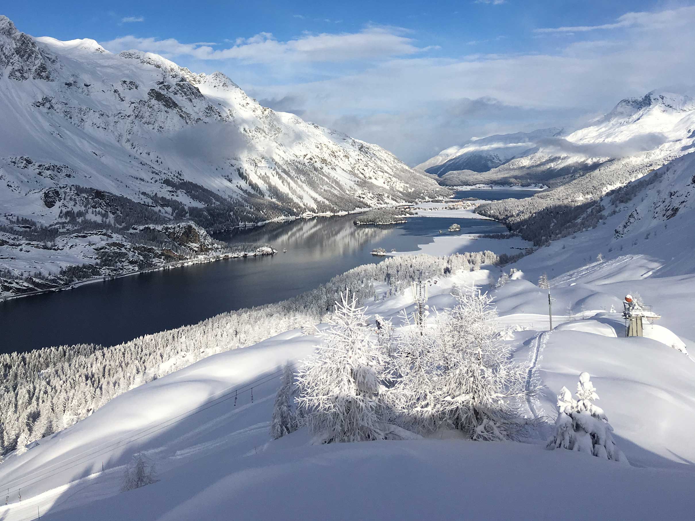 Alpine skiing and snowboarding