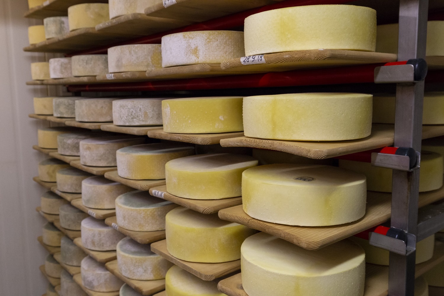 Cheese