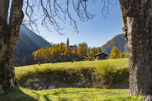 Stampa und Borgonovo